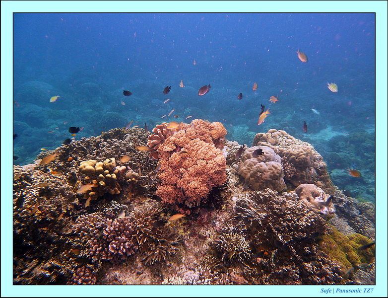 2012 - 07 - Apoh Island 34